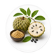ANNONA RETICULATA