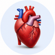 COENZYME Q10