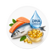DHA (OMEGA-3)