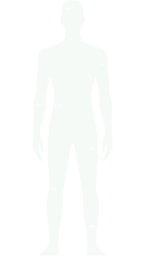 Body systems