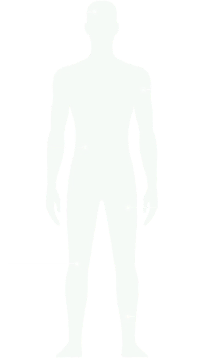 Body systems