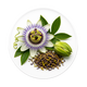 PASSION FLOWER