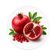 POMEGRANATE