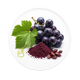 RESVERATROL